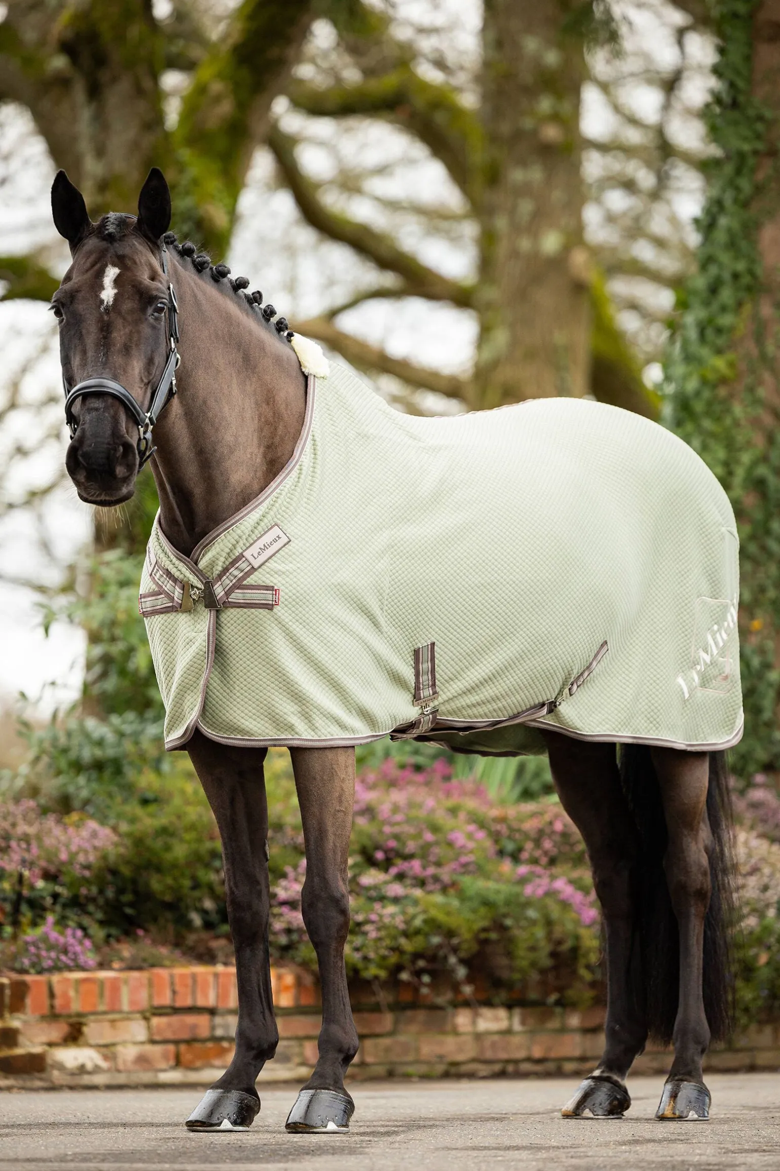 LeMieux Kudos Bambus Absorberende dekken