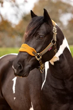 LeMieux Vogue grime & leietau set