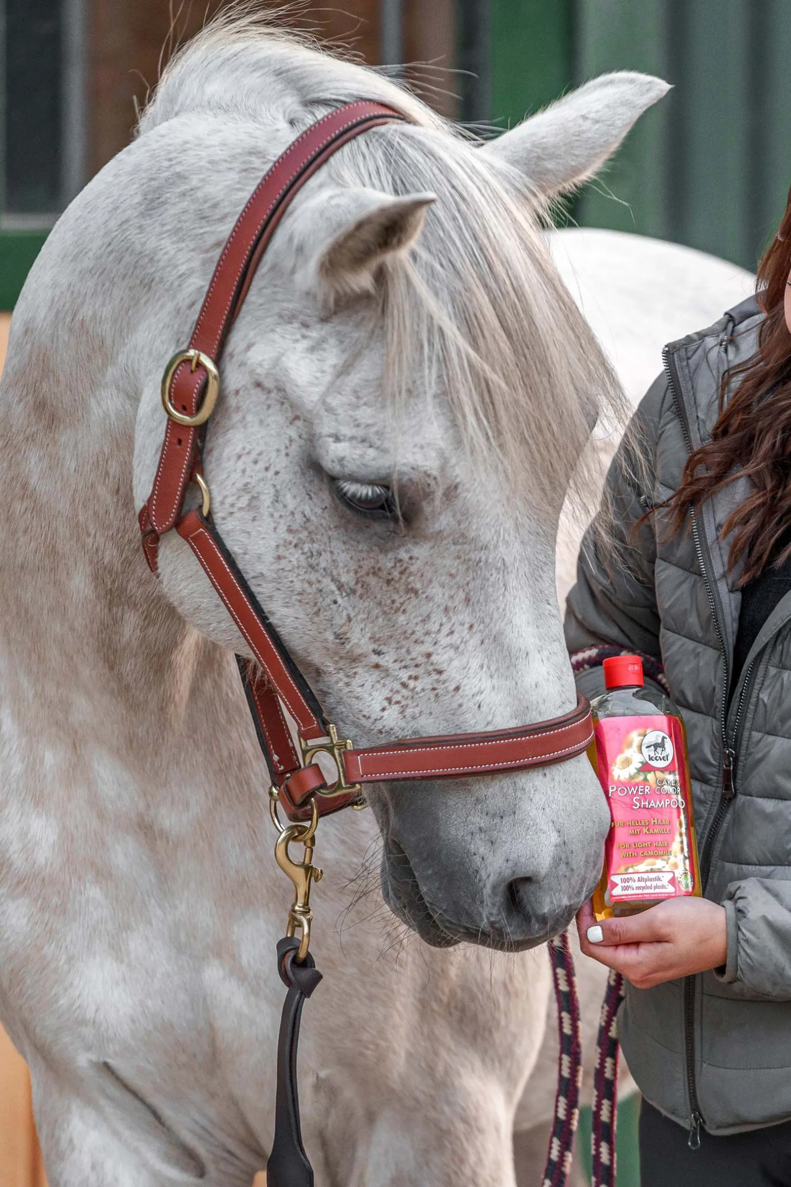 Leovet Power Shampoo med kamille for lyst hår