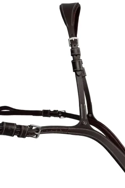 PS of Sweden fortøy Tokyo