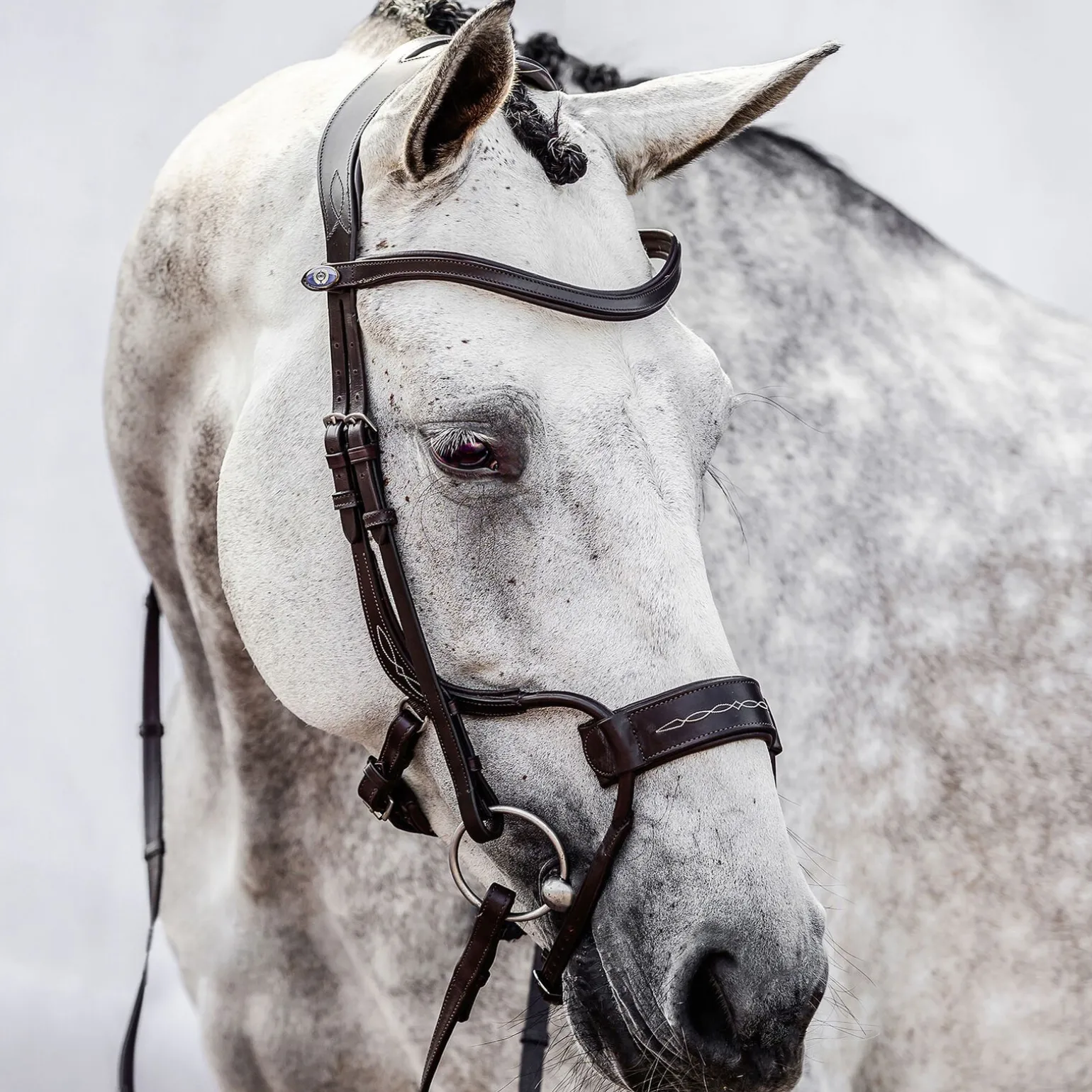 PS of Sweden High Jump hodelag