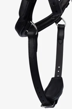 PS of Sweden Hodelag King Edward