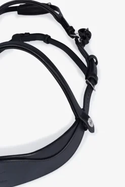 PS of Sweden Hodelag King Edward