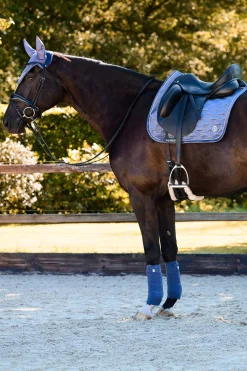 PS of Sweden sjabraker Velvet Monogram dressur