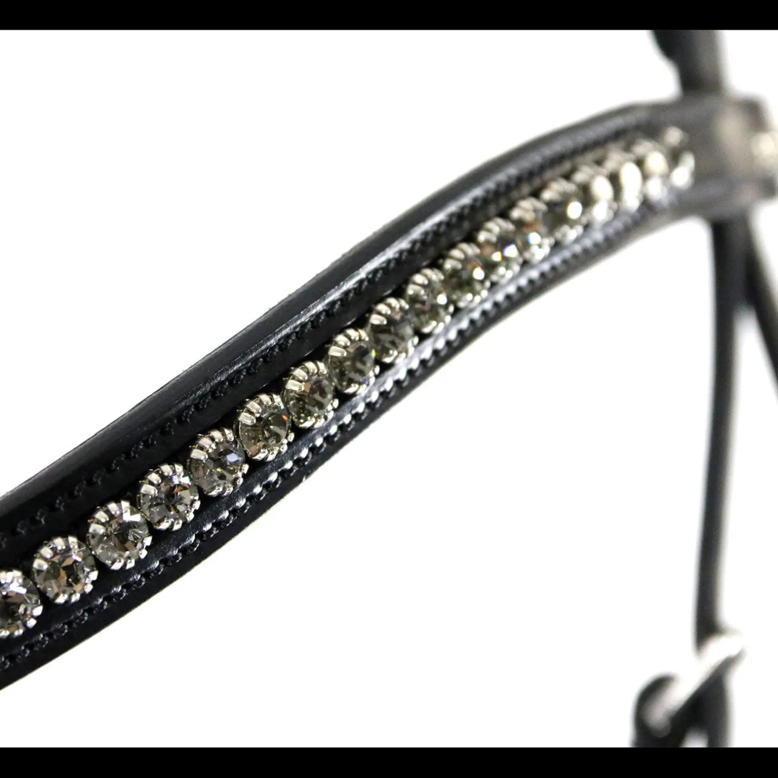 Schockemöhle Sports Equitus Beta hodelag