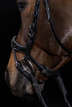 Schockemöhle Sports Equitus Beta Glam hodelag