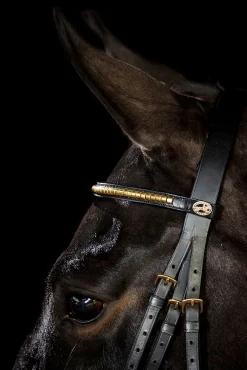 Schockemöhle Sports Heidelberg hodelag