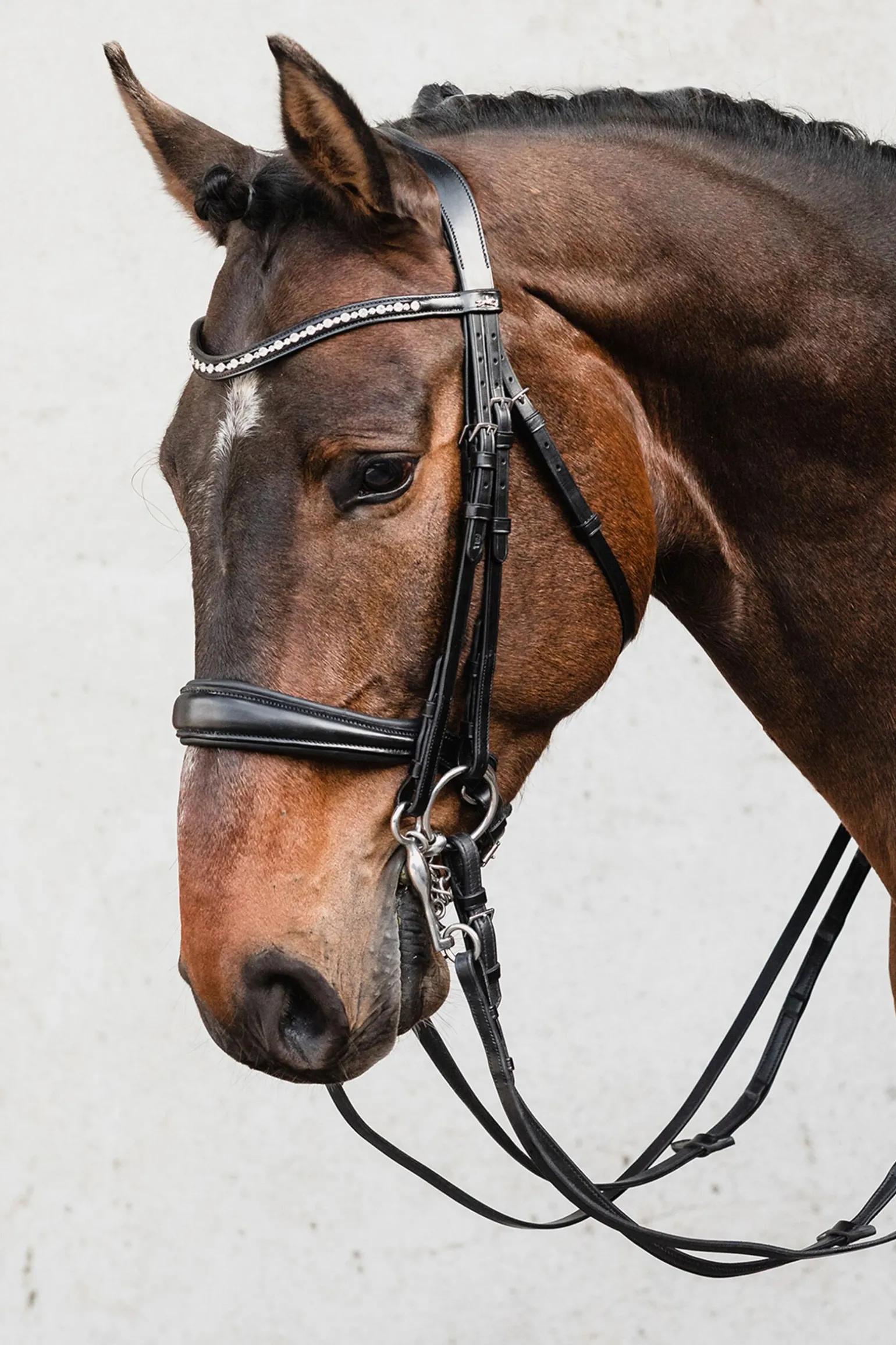 Schockemöhle Sports Milton Anatomic Double Bridle