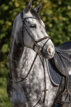 Sprenger Dynamic RS Sensogen Bit 14 mm