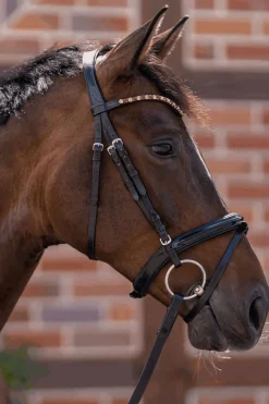 Sprenger Novocontact løse ringer bitt 14mm enkeltleddet Sensogan med 70mm ringer i rustfritt stål