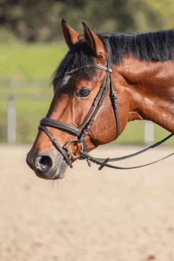 Sprenger Novocontact Muffebitt 14mm Enkeltleddet Sensogan Med D-Formede Ringer