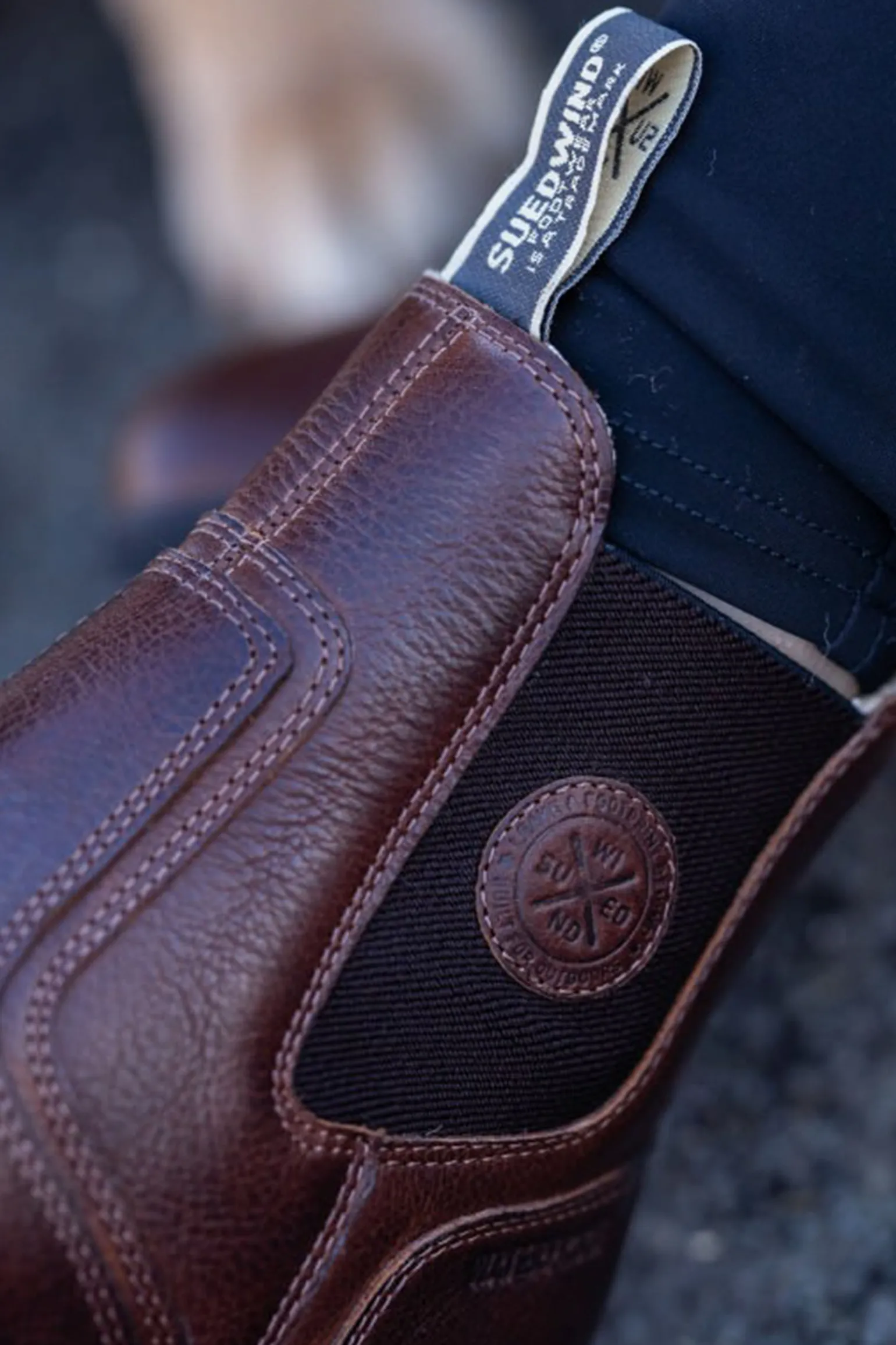 Suedwind Footwear Amaron Chelsea Ull Vanntett arbeidsstøvel