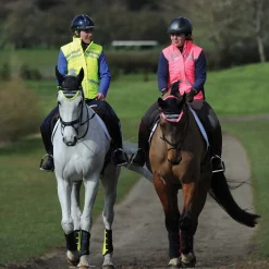 Weatherbeeta reflekterende, vattert vest, voksen